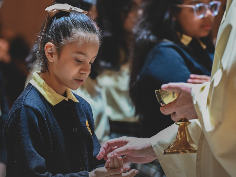 Archdiocese of New York Releases Key Takeaways of School Viability Study and Launches Visionary Renewal Plan for Parish and Regional Catholic Elementary Schools