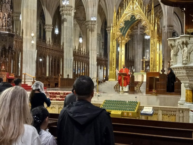 Misa de Agosto para Jóvenes Adultos Celebrada en la Catedral de San Patricio