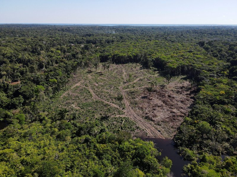 Catholics in the Amazon hope COP15 Generates Projects in Favor of Forest​