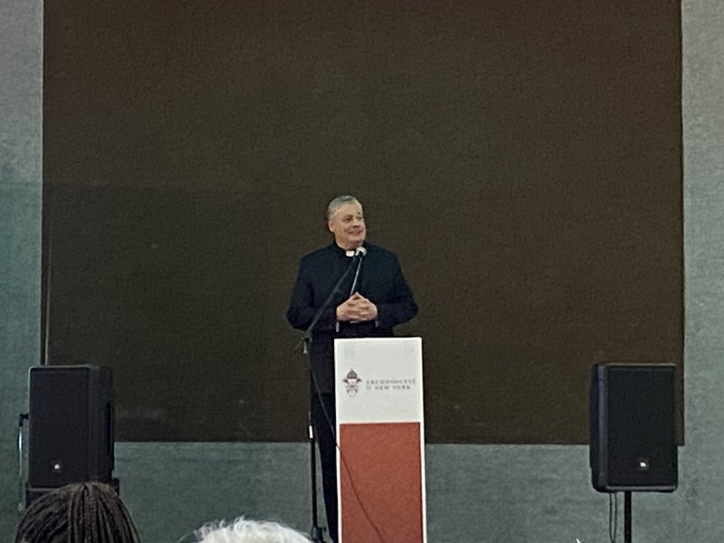 Archdiocese of New York Laity, Clergy Participate in Interim Synod Sessions