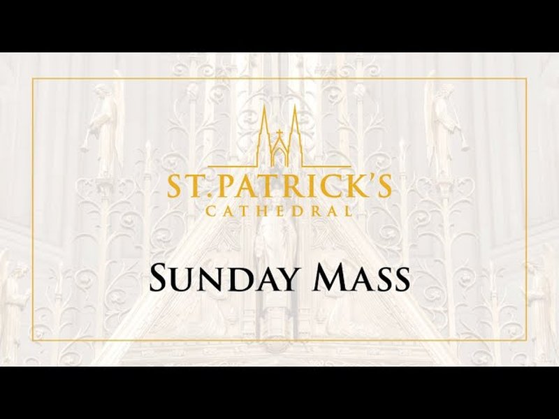 Sunday Homily at Saint Patrick’s Cathedral  