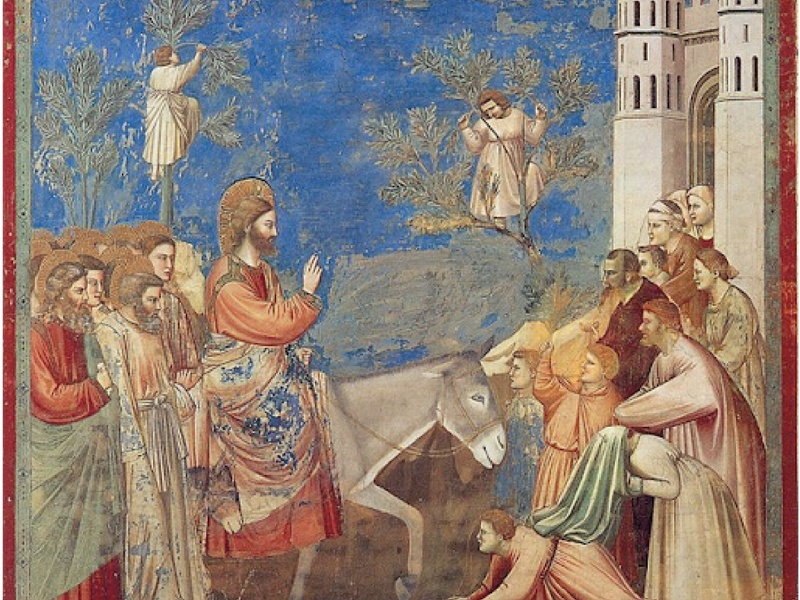 St. Patrick’s Cathedral Palm Sunday Mass Livestream