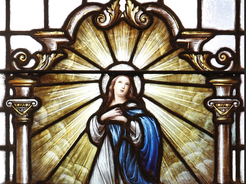 May the Assumption of Mary Lead Us All to Heaven​