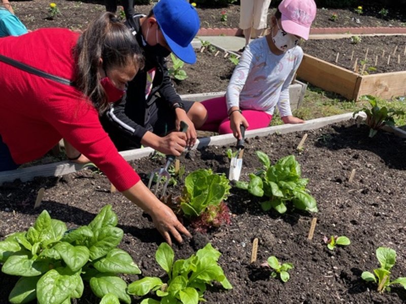 Ministerio de Cuidado de la Creación Aboga por Cuidar 'Nuestra Casa Común'​