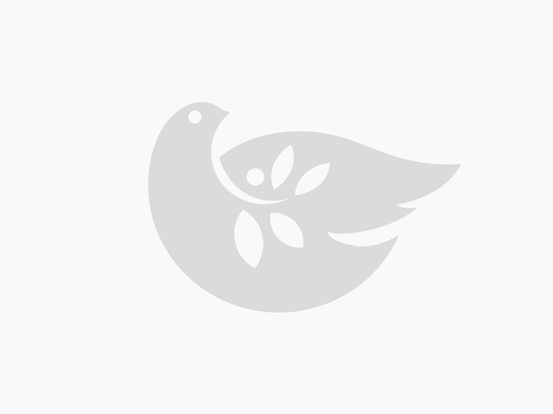 Required Announcement on Reporting of Abuse