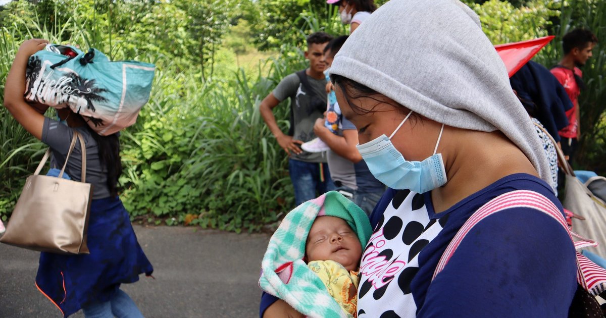 Mexican bishops, Scalabrinians address migrant 'crisis of great ...