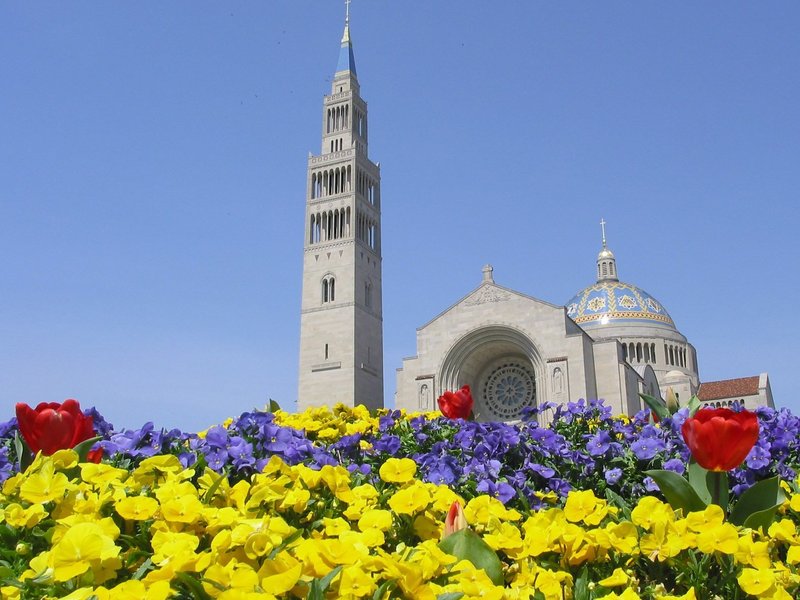 National Prayer Vigil for Life Scheduled for January 23