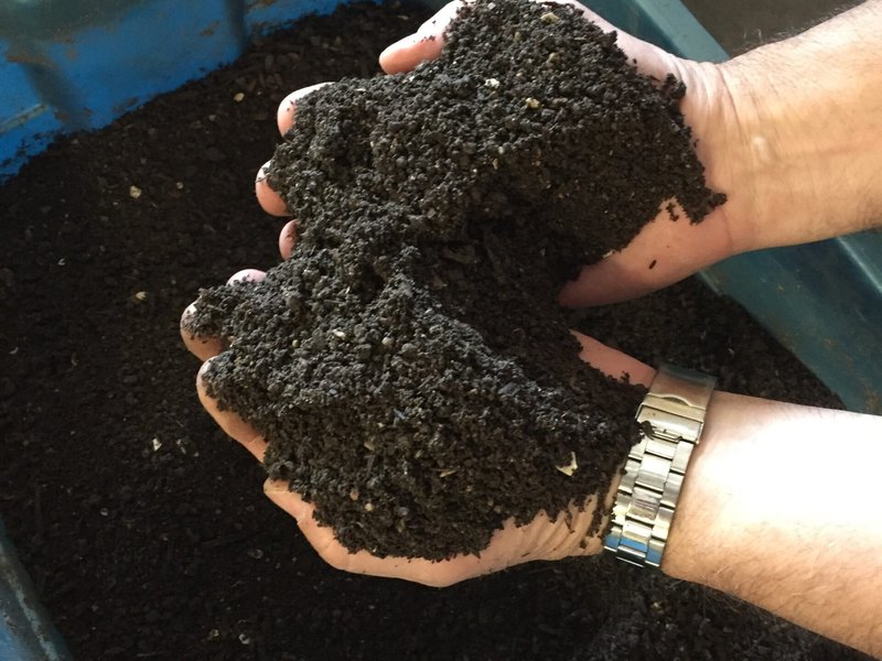 El compostaje humano y la hidrólisis alcalina no son aceptables para dar sepultura, dicen los obispos de EE.UU.​