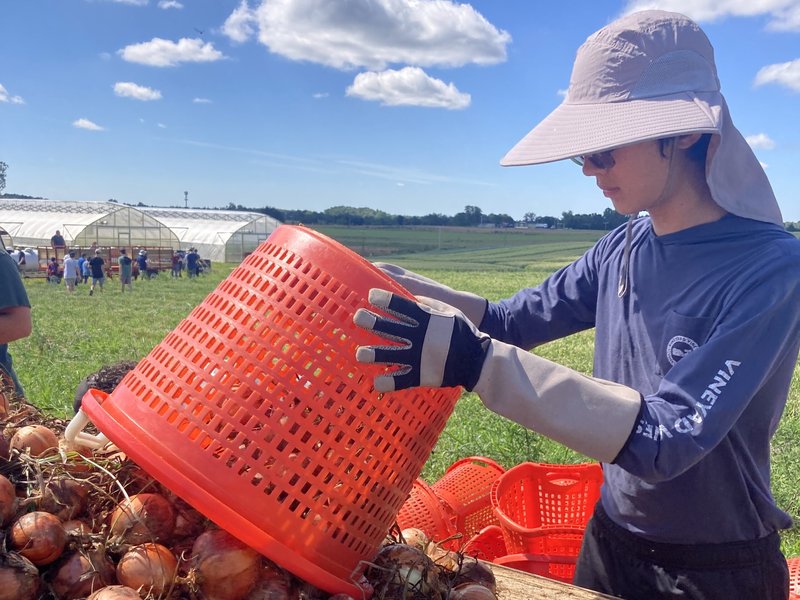 Estudiantes de Xavier High School se Dirigen a Maryland para un Proyecto de Servicio Agrícola