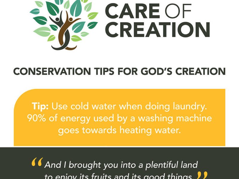 Care of Creation Carbon Fast graphics 1 768x768