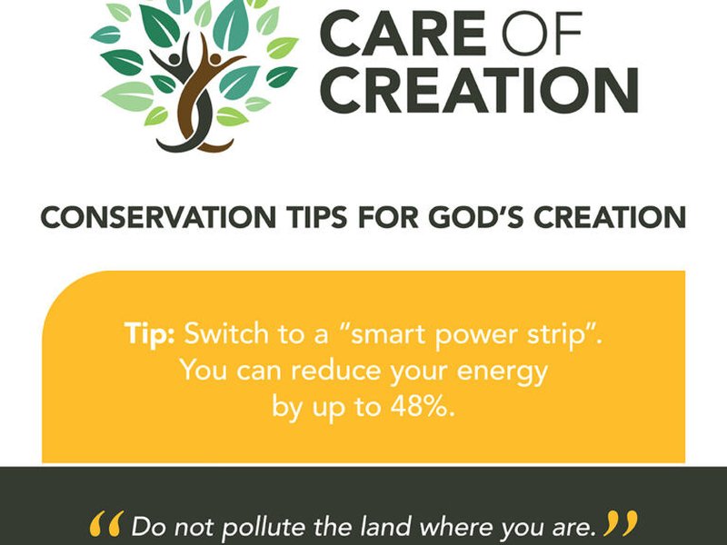 Care of Creation Carbon Fast graphics 2 768x768