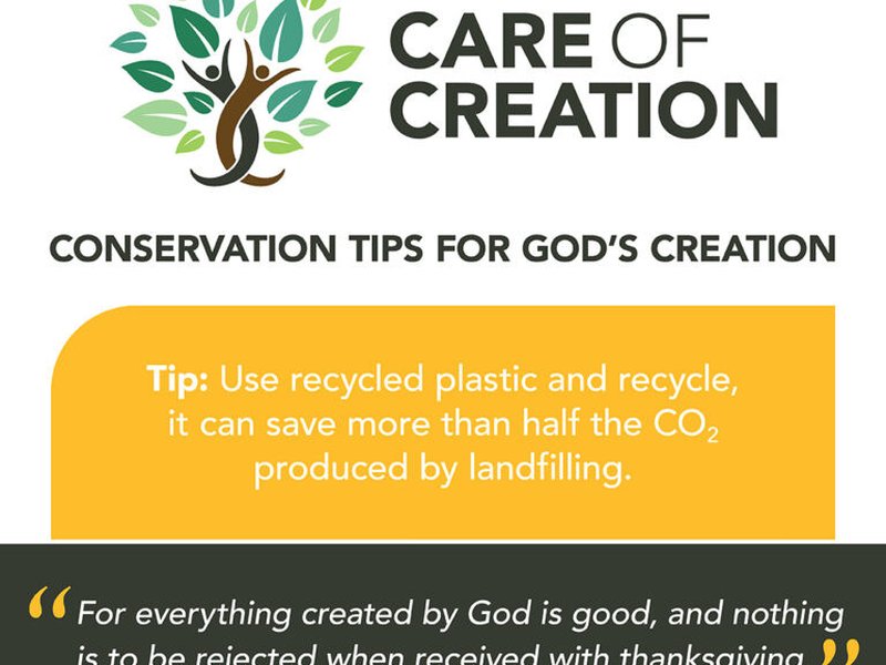 Care of Creation Carbon Fast graphics 4 768x768