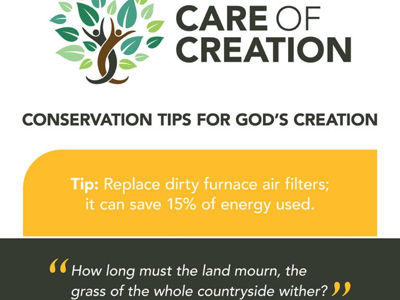 Care of Creation Carbon Fast graphics 6 768x768