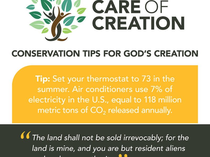 Care of Creation Carbon Fast graphics 7 768x768