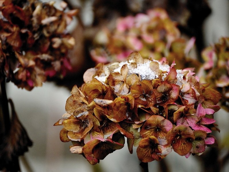 November: A Season of Resting before the Lord