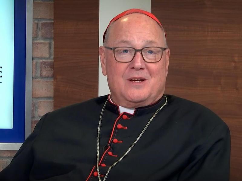 Campaña Anual de Mayordomía del Cardenal 2023: Bienaventurados todos los que se refugian en él