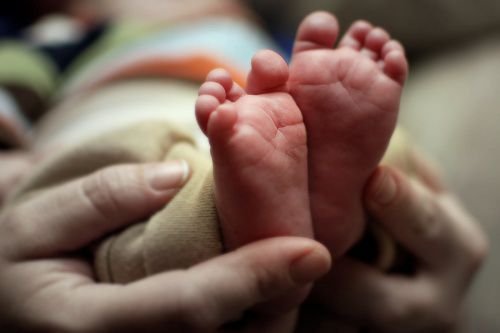 Chilean abortion plan is 'a trap for the gullible,' cardinal says ...