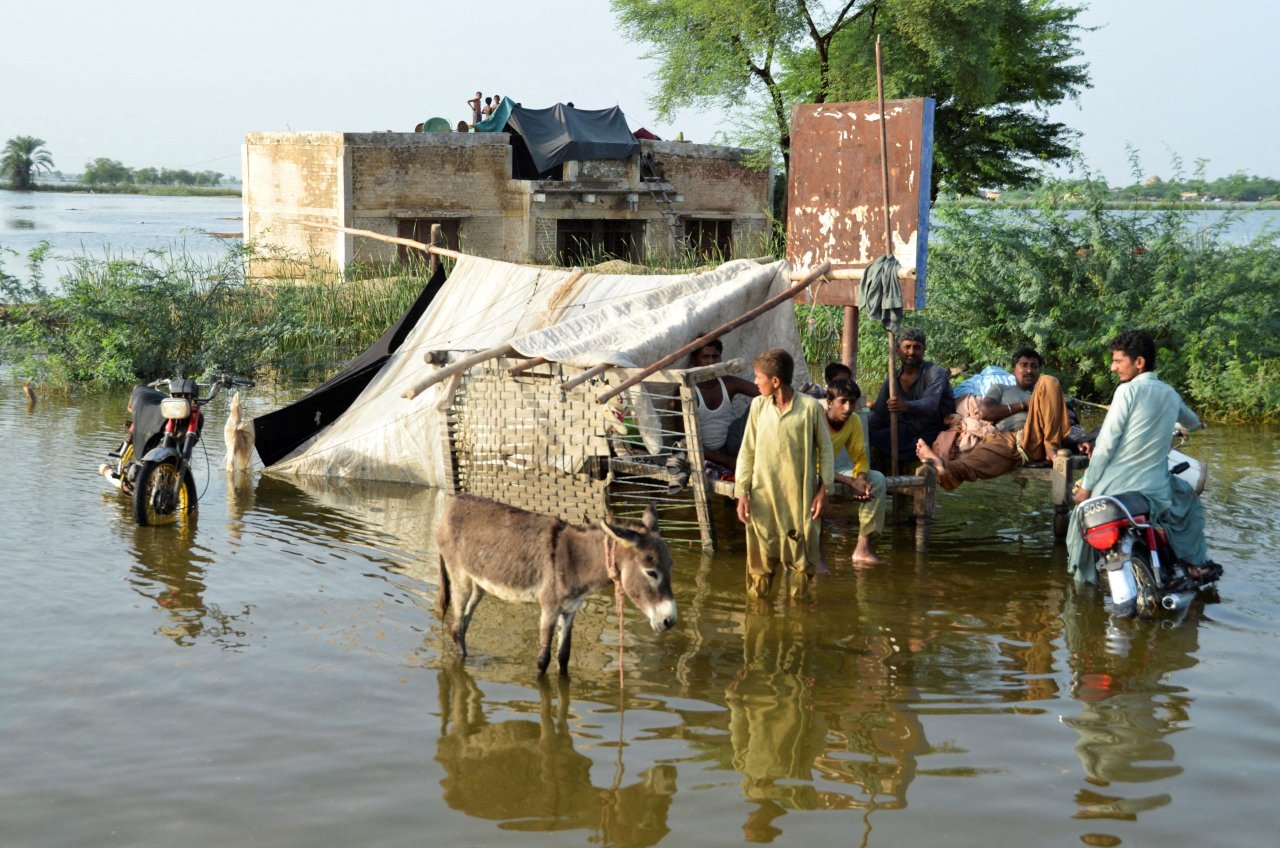 Bishop calls for help for Pakistanis left homeless, hungry by floods ...
