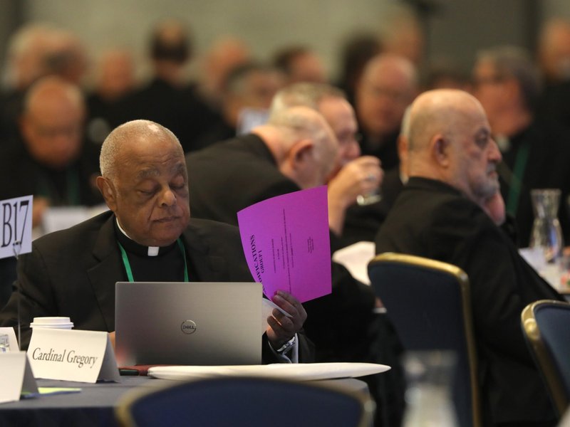 La reunión de los obispos de EE.UU. muestra un frente unido en la misión, pero no un plan de acción claro para el Sínodo