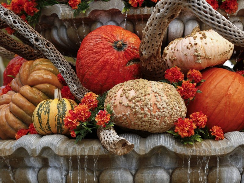 Catholic Charities Community Services of Rockland Exceeds Goal for Inaugural Fall Harvest Fundraiser