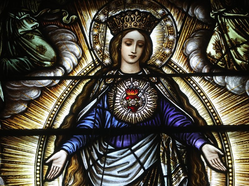 May Calendar Highlights: Devotion to Mary, Infertility Mass, and Women and the Church​