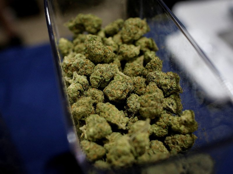 Experts: New Cannabis-Schizophrenia Study Shows Church Must 'Take The Lead' Addressing Marijuana Risks​