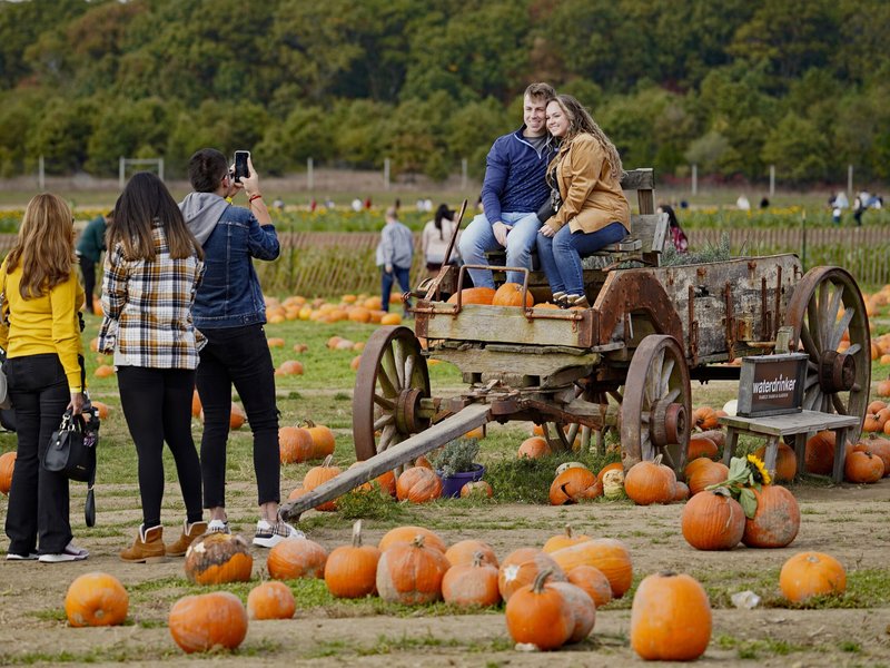 Archdiocese of New York Autumn Events: First Day of School, Grandparents' Day, Man Up!