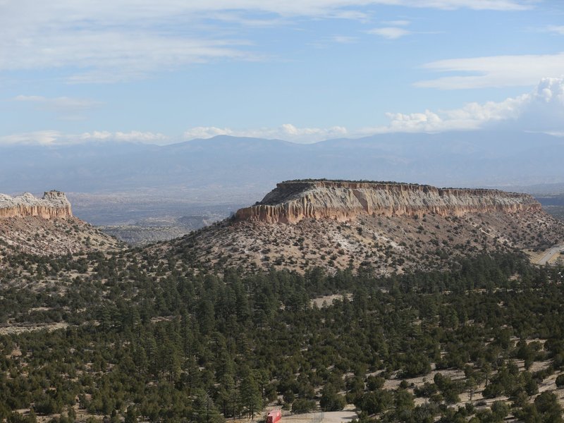 US Catholic Dioceses are Leading the 'Green Revolution' Championed by Popes​