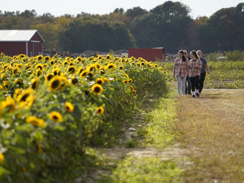 November 2025 Calendar Highlights: The Solemnity of All Saints, Feminine Genius Brunch, The Council of Nicaea Revisited​