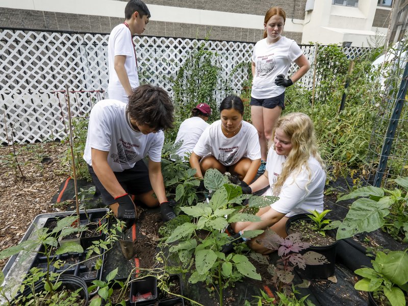Floreciendo en Comunidad: Pública solicitud en línea para otorgar $40 millones en subvenciones a proyectos de justicia ambiental por los próximos tres años