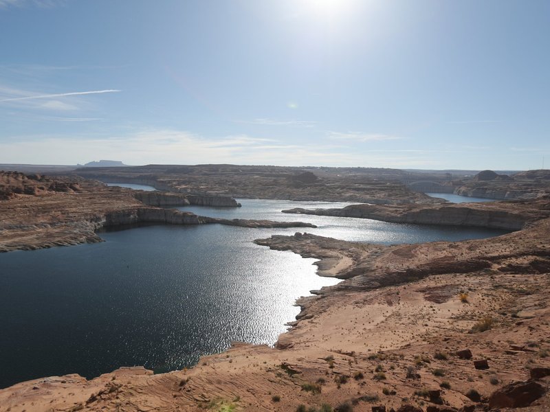 USCCB Marks 10th Anniversary of Pope Francis' Laudato Si' Encyclical