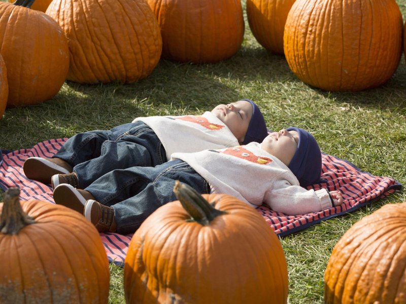 October 2025 Calendar Highlights: Columbus Day Mass, Mission Sunday, Napa Institute Mass and Procession