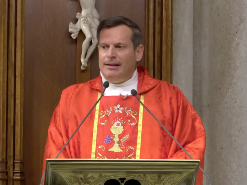 Homilía del padre Enrique Salvo: 29 de marzo de 2026