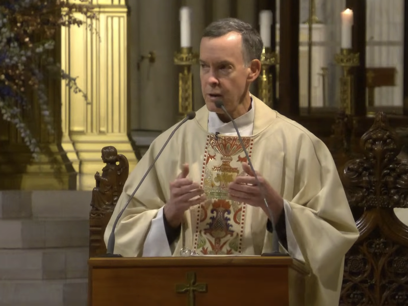 Fr. Donald Haggerty's Homily: November 27, 2025
