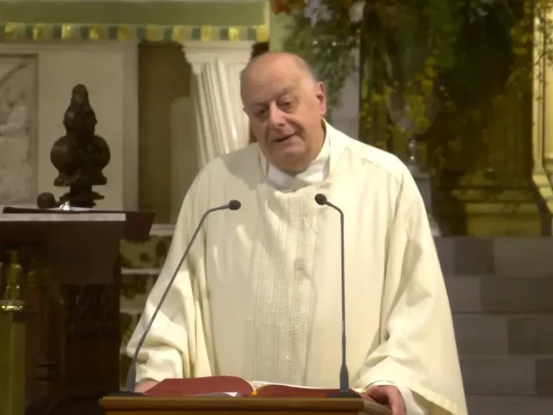 Msgr. LaMorte's Homily: February 11, 2026