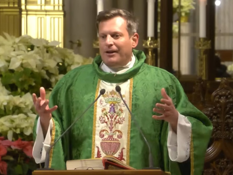 Homilía del padre Enrique Salvo: 18 de enero de 2026