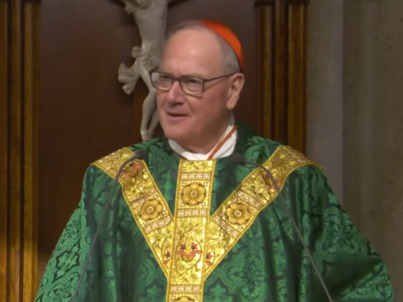 Cardinal Dolan's Homily: January 18, 2026