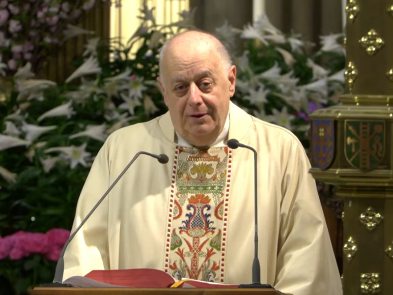 Msgr. LaMorte's Homily: April 15, 2026 