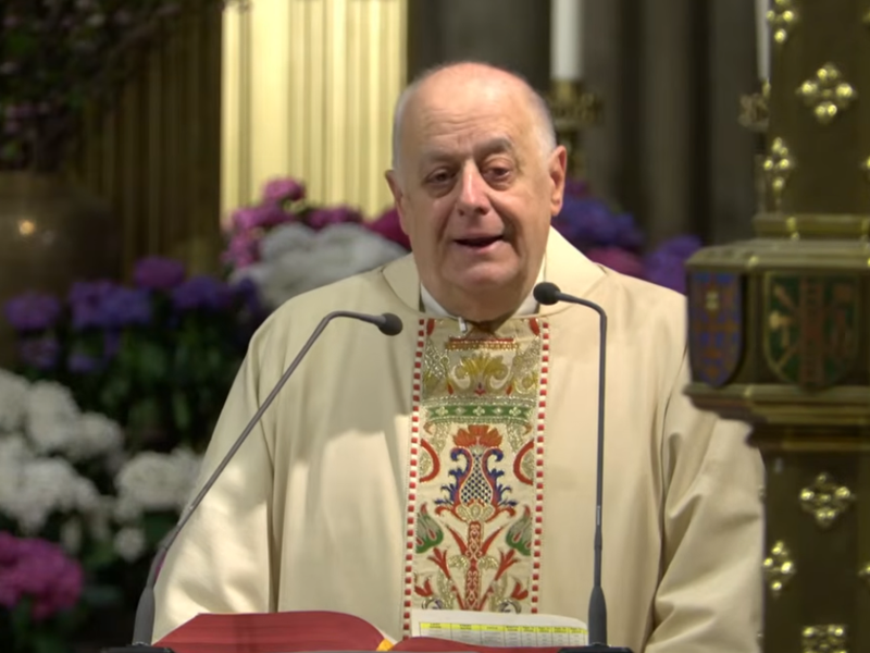 Msgr. LaMorte's Homily: April 22, 2026 