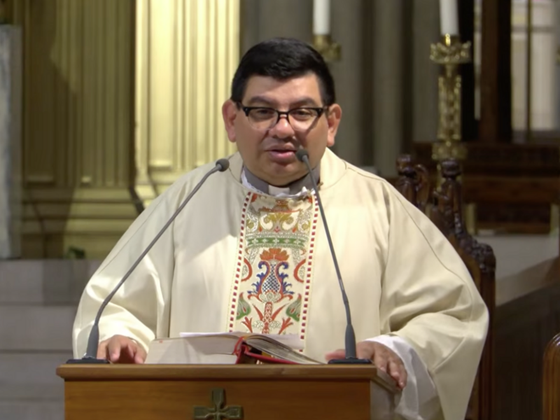 Homilía del padre Henry Silva: 31 de mayo de 2026