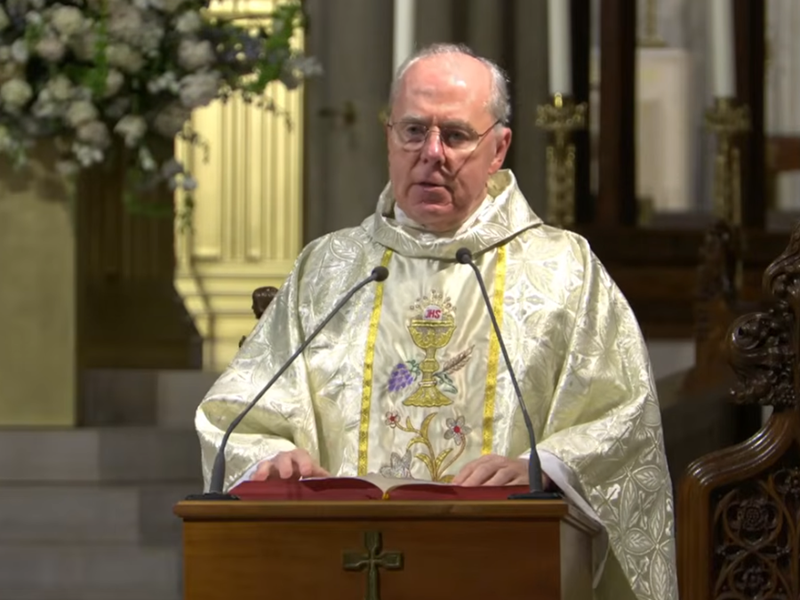 Fr. Michael Barrett’s Homily: June 26, 2026