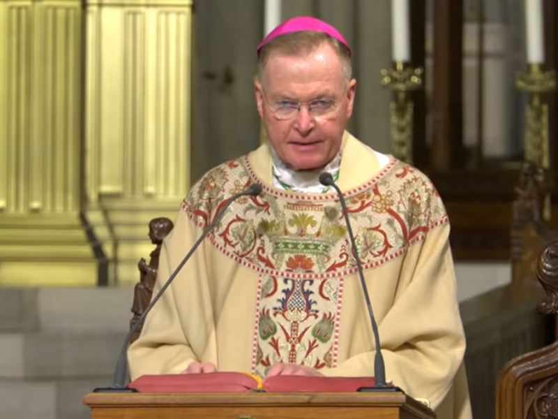 Bishop Edmund Whalen's Homily: July 14, 2026