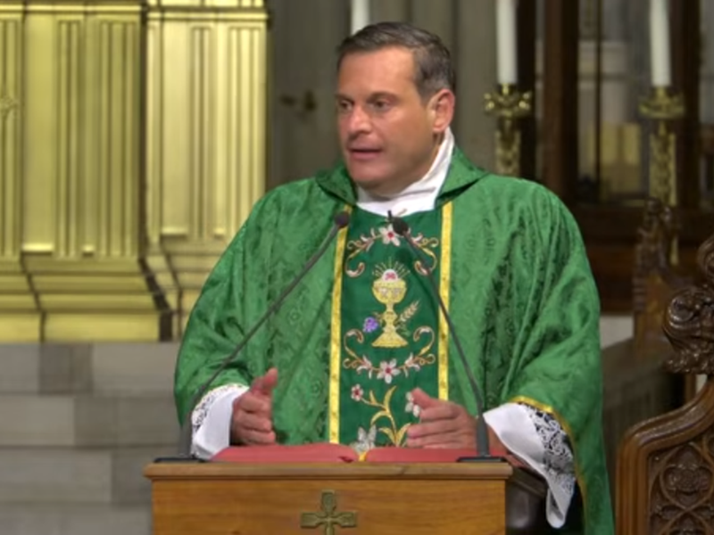 Fr. Enrique Salvo’s Homily: July 27, 2026