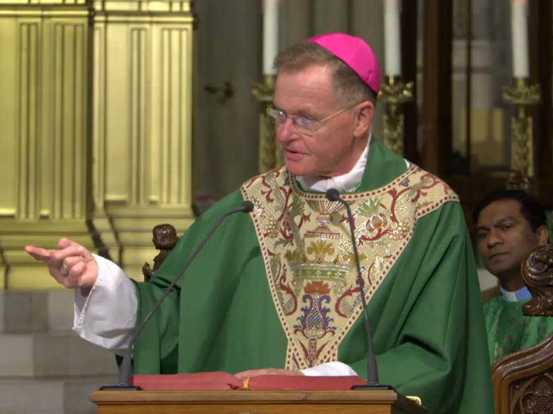Bishop Edmund Whalen's Homily: July 28, 2026
