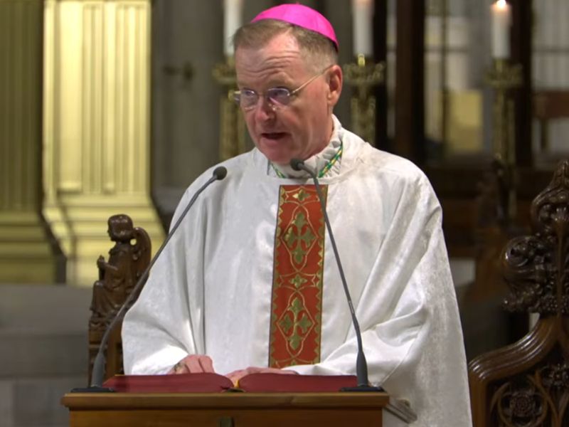 Bishop Edmund Whalen's Homily: August 12, 2026