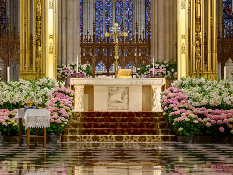 Lent at St. Patrick’s Cathedral: Planning for Holy Week