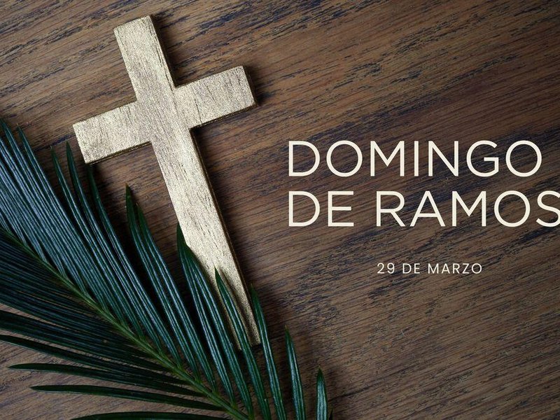 Domingo de Ramos: El Rey que entra con humildad