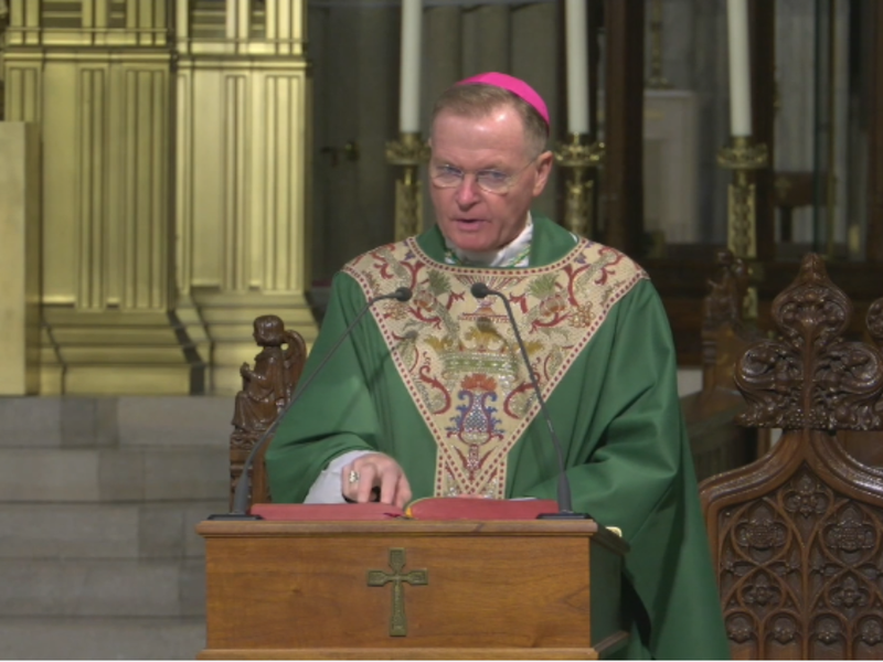 Bishop Edmund Whalen's Homily: September 22, 2026