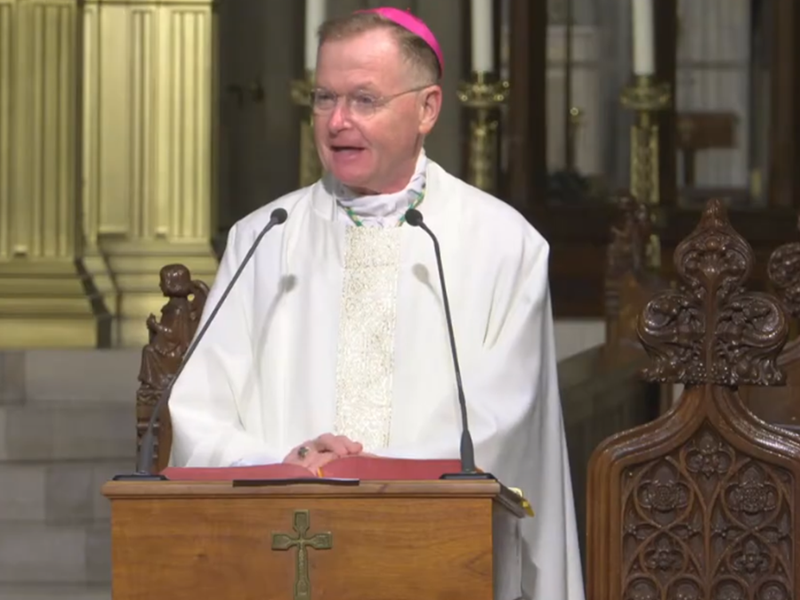 Bishop Edmund Whalen's Homily: October 15, 2026