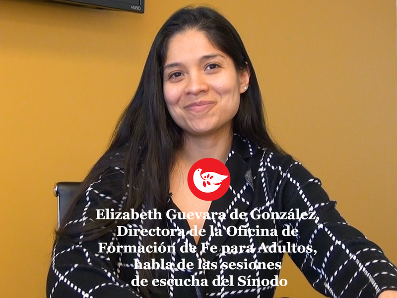 Sesiones de escucha del Sínodo pautadas para el 23 de marzo | Synod Listening Sessions Scheduled for March 23